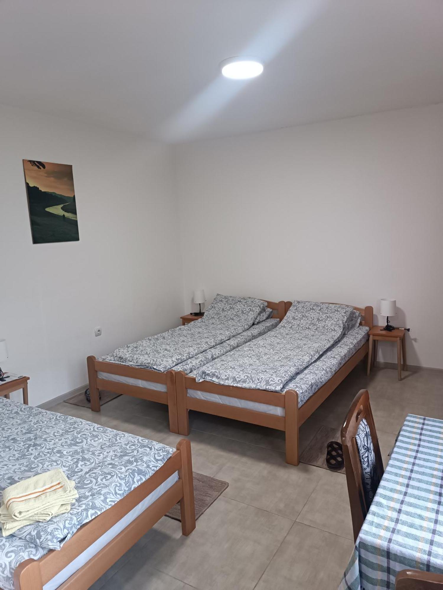 Adamovic Apartment Пирот Екстериор снимка